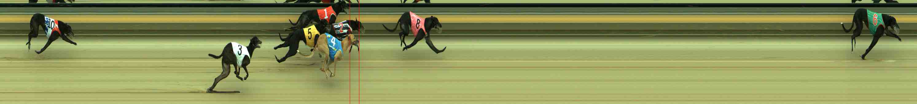 Photo finish for Sale Race 8