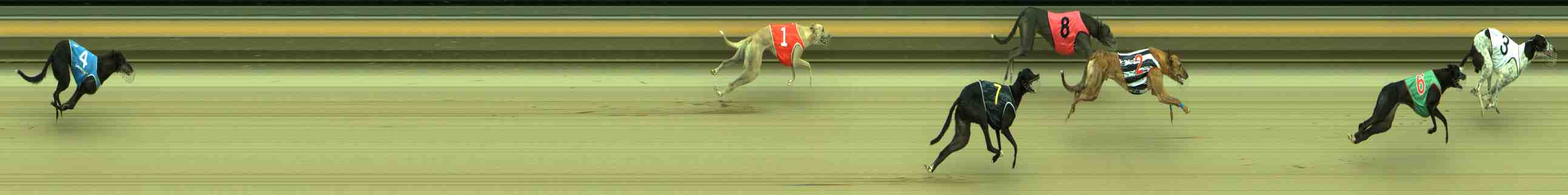 Photo finish for Sale Race 9