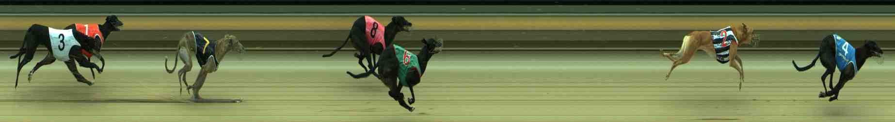 Photo finish for Sale Race 10
