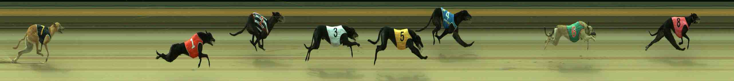 Photo finish for Sale Race 11