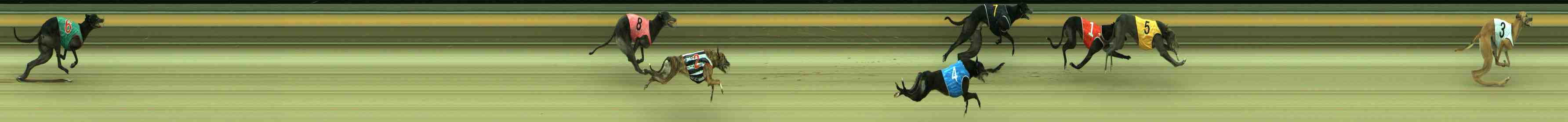 Photo finish for Sale Race 12