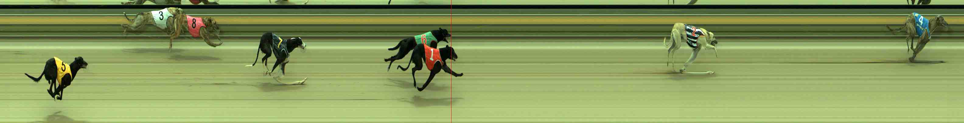 Photo finish for Sale Race 2