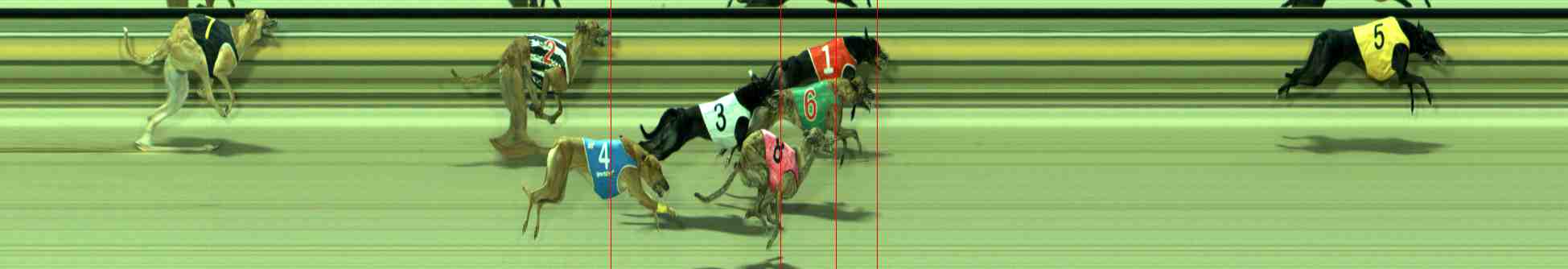 Photo finish for Sale Race 4