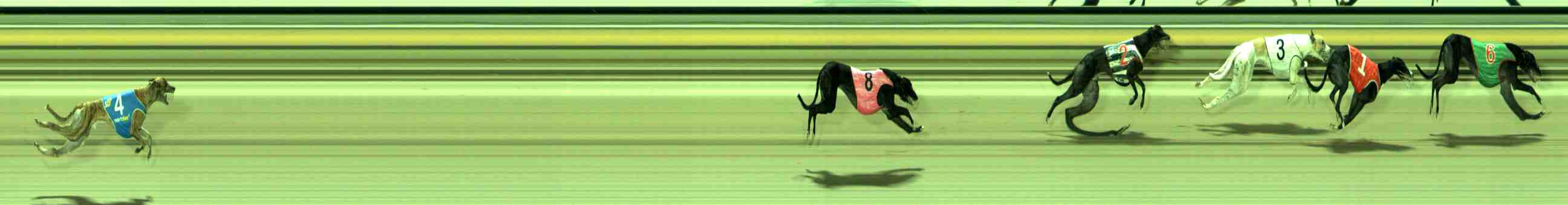 Photo finish for Sale Race 5