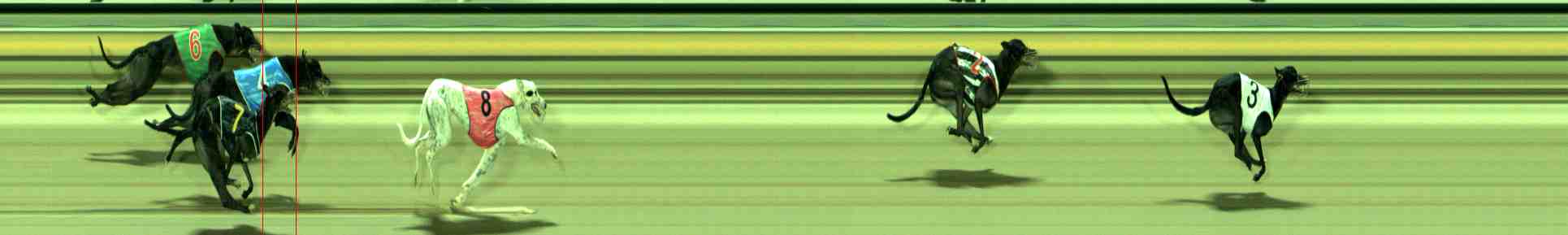 Photo finish for Sale Race 6