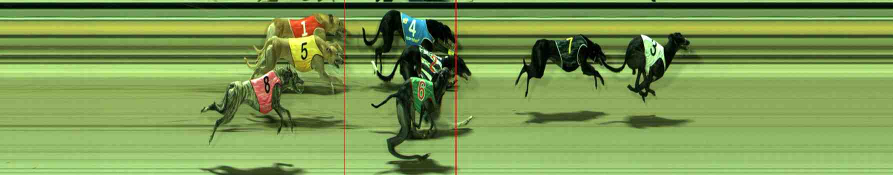 Photo finish for Sale Race 7