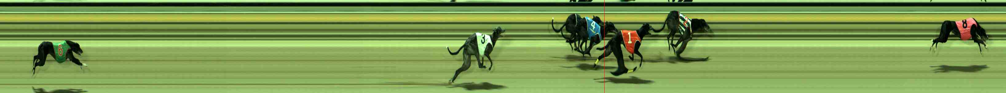 Photo finish for Sale Race 8