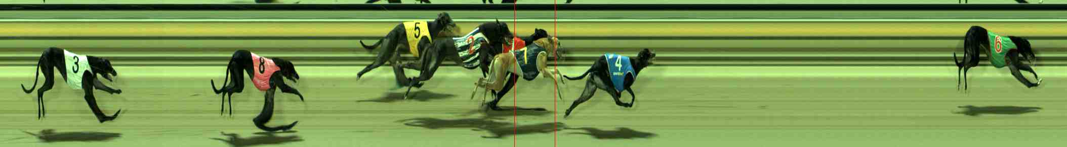 Photo finish for Sale Race 9