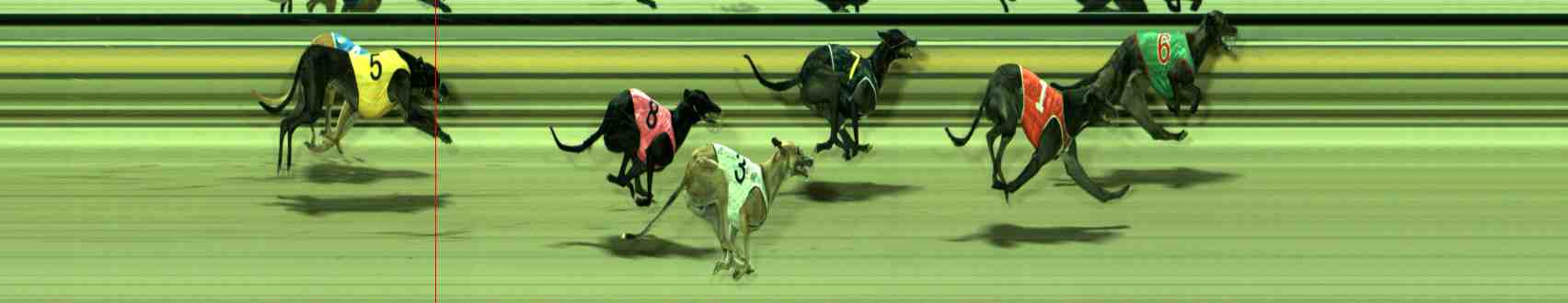 Photo finish for Sale Race 10