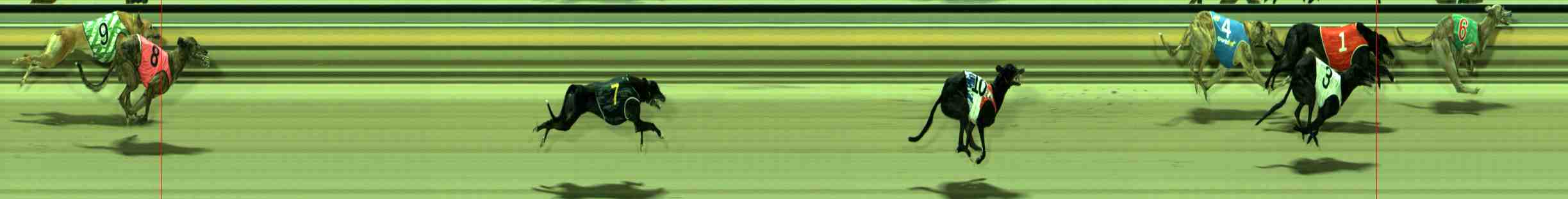 Photo finish for Sale Race 11