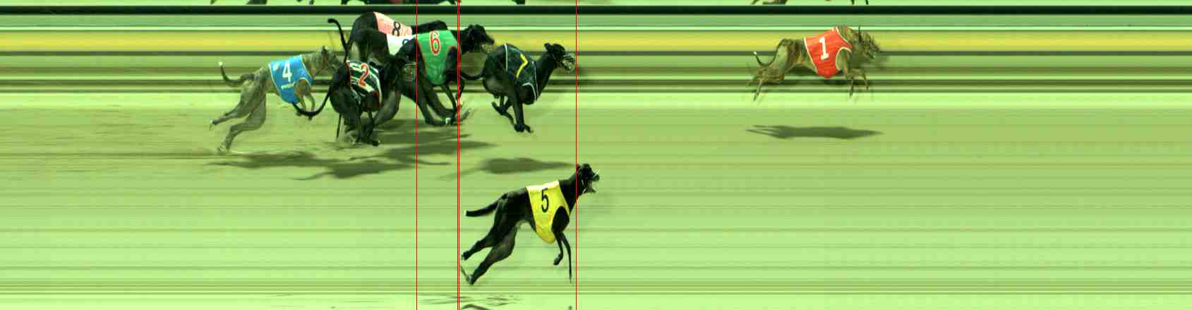 Photo finish for Sale Race 12