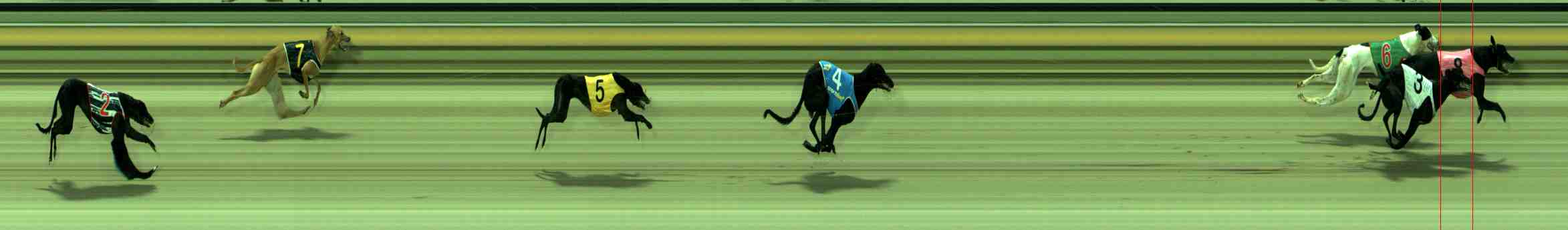 Photo finish for Sale Race 1