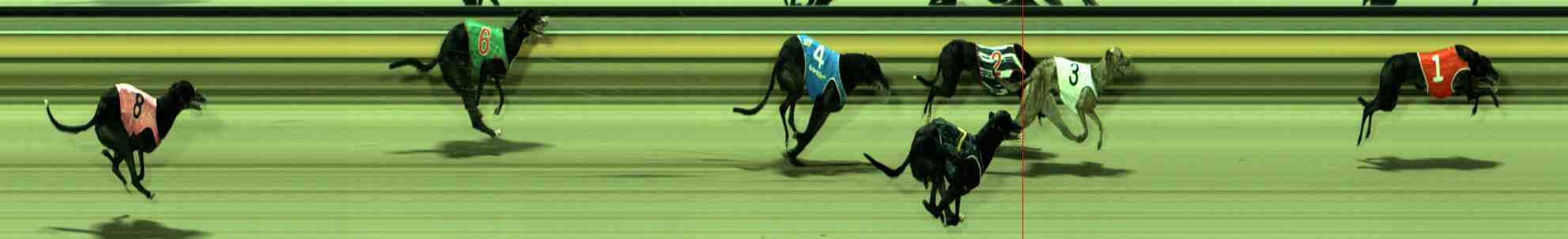 Photo finish for Sale Race 2