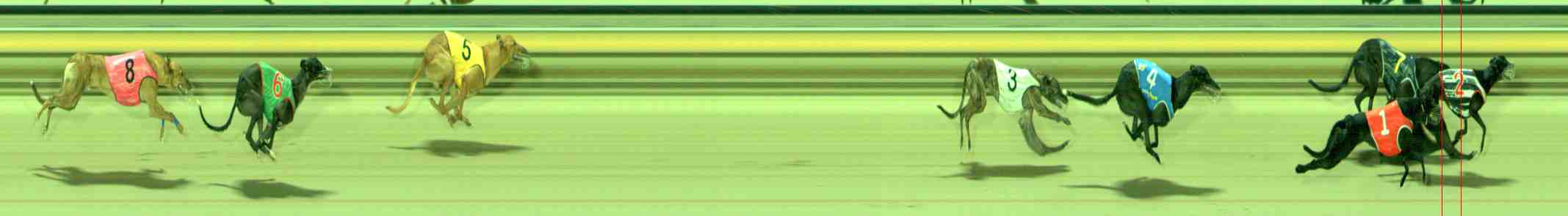 Photo finish for Sale Race 3