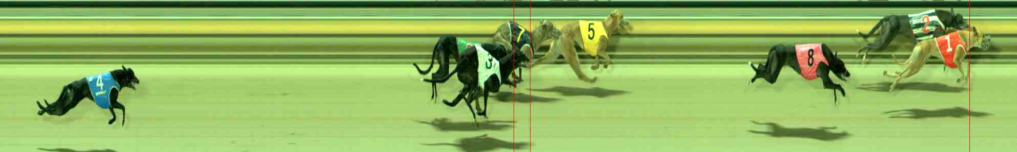 Photo finish for Sale Race 4