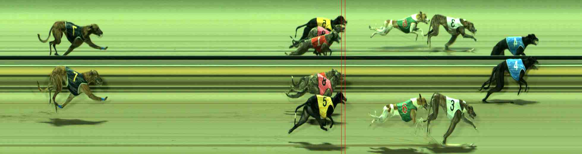 Photo finish for Sale Race 5