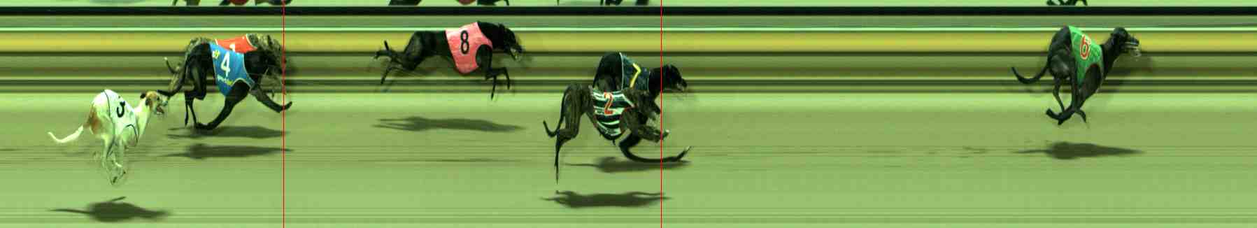 Photo finish for Sale Race 6