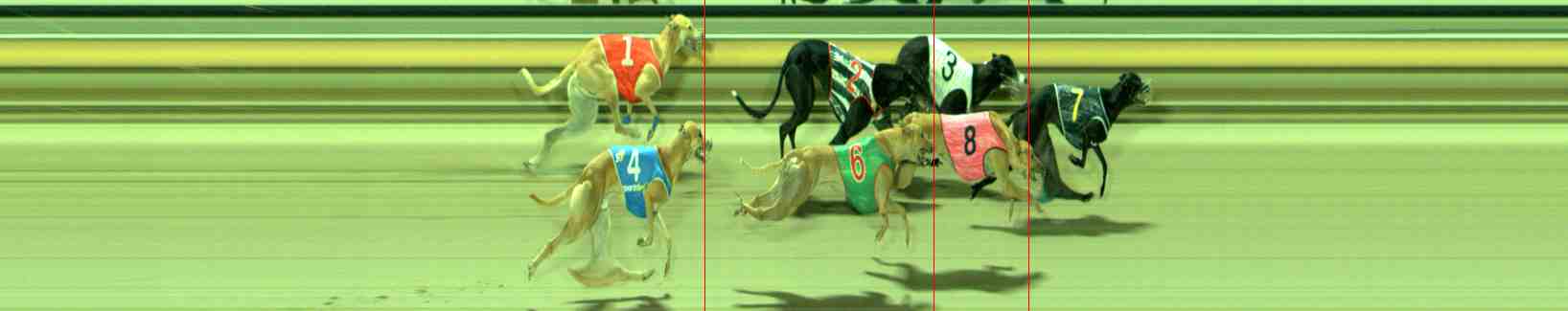 Photo finish for Sale Race 7