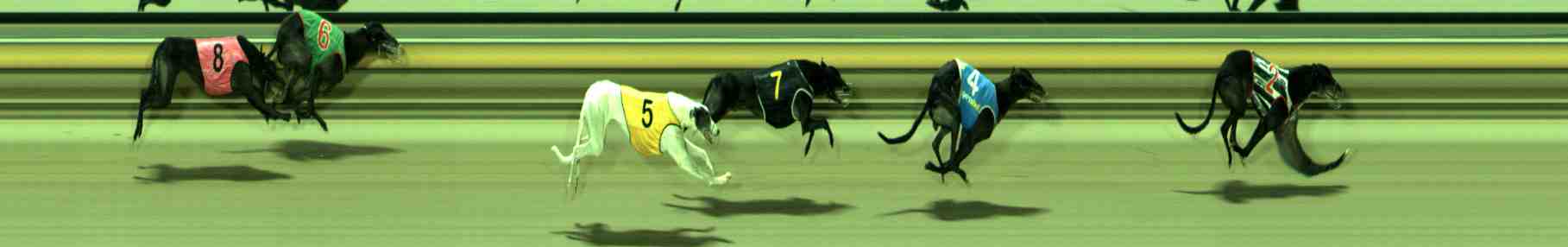 Photo finish for Sale Race 8