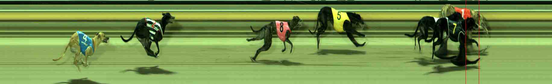 Photo finish for Sale Race 9