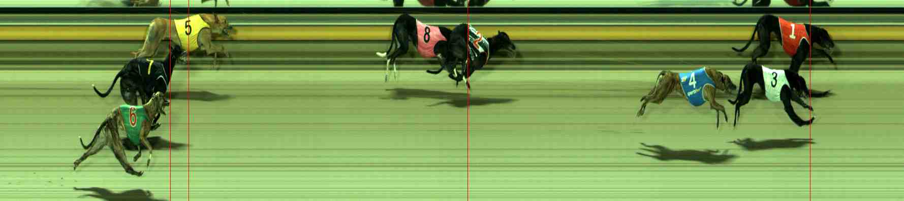 Photo finish for Sale Race 11