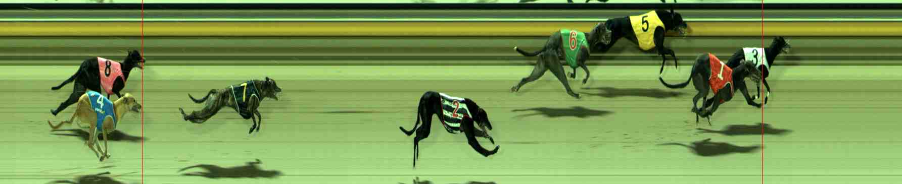 Photo finish for Sale Race 12