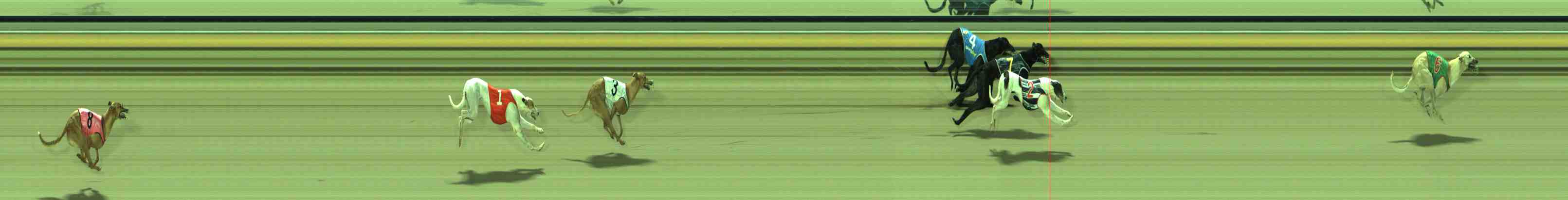 Photo finish for Sale Race 1