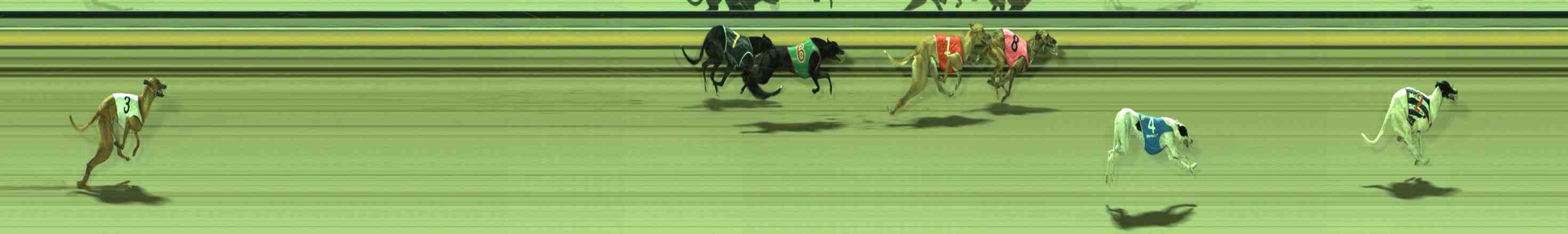 Photo finish for Sale Race 2