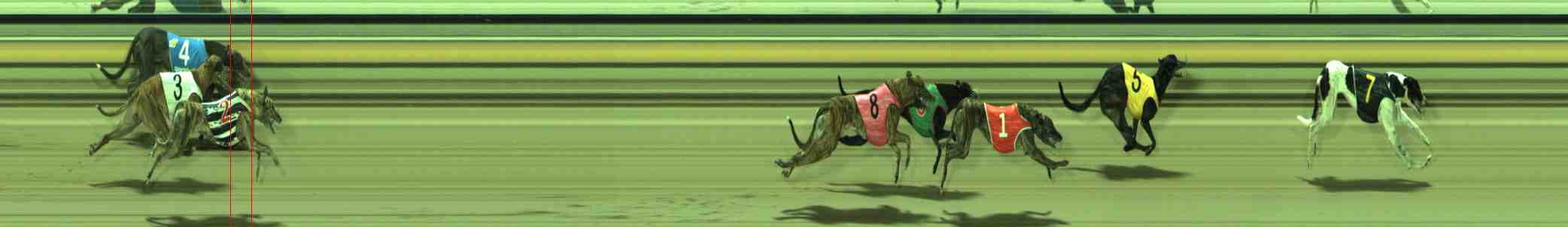 Photo finish for Sale Race 3