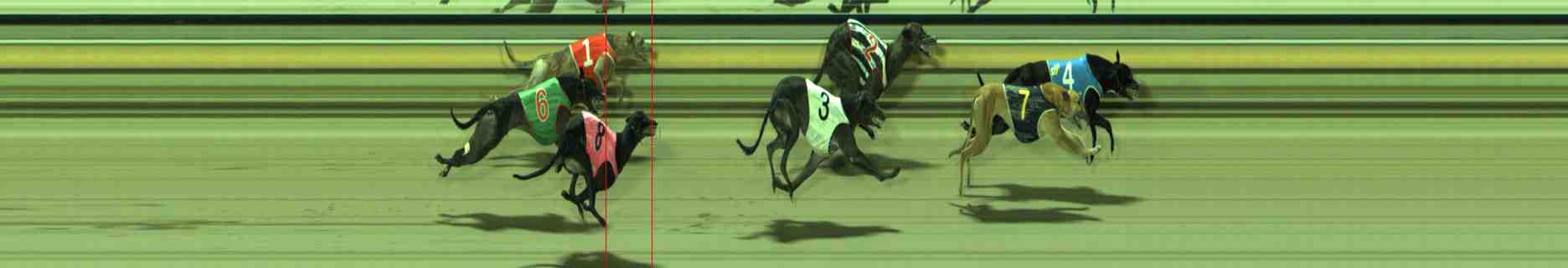 Photo finish for Sale Race 4