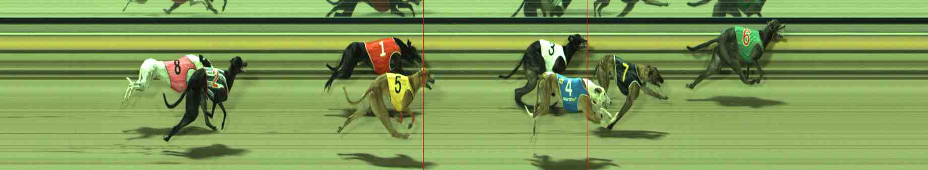 Photo finish for Sale Race 5
