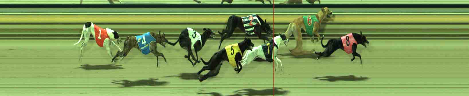 Photo finish for Sale Race 6