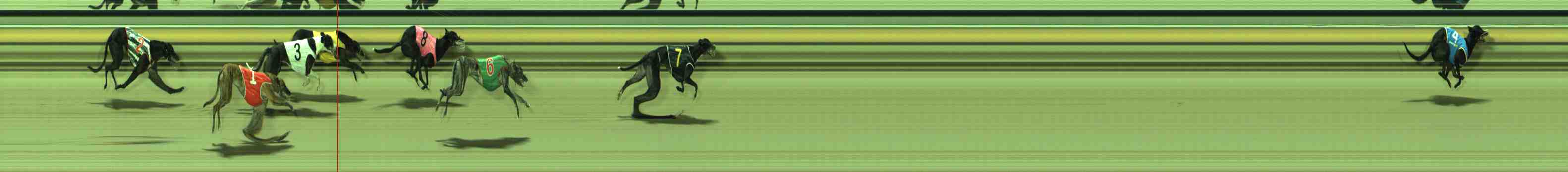 Photo finish for Sale Race 8