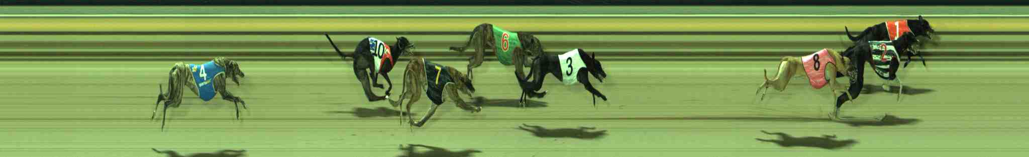Photo finish for Sale Race 9
