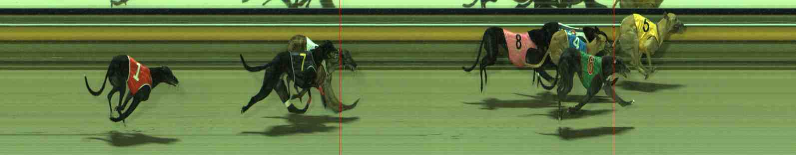 Photo finish for Sale Race 10