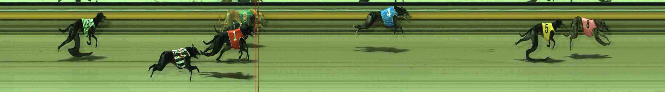 Photo finish for Sale Race 11