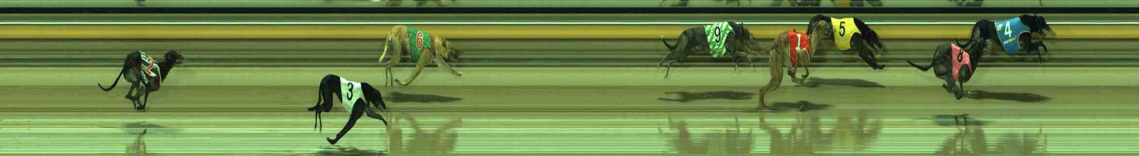 Photo finish for Sale Race 12