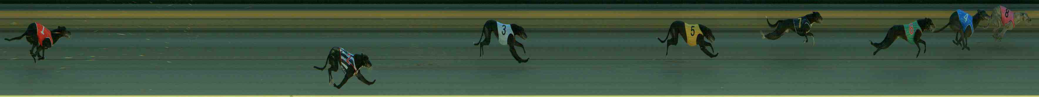 Photo finish for Sale Race 1