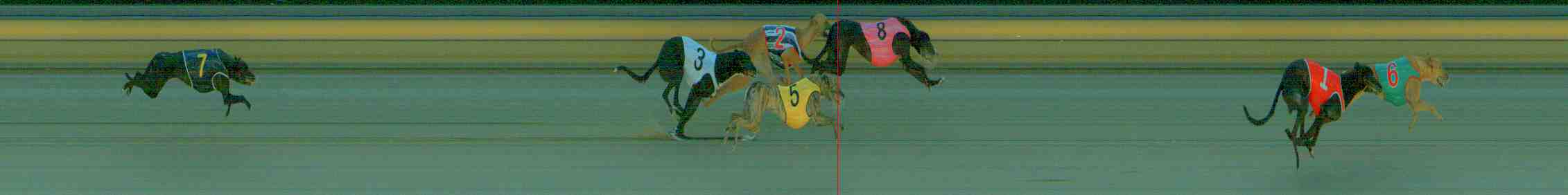 Photo finish for Sale Race 2