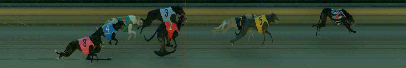 Photo finish for Sale Race 3