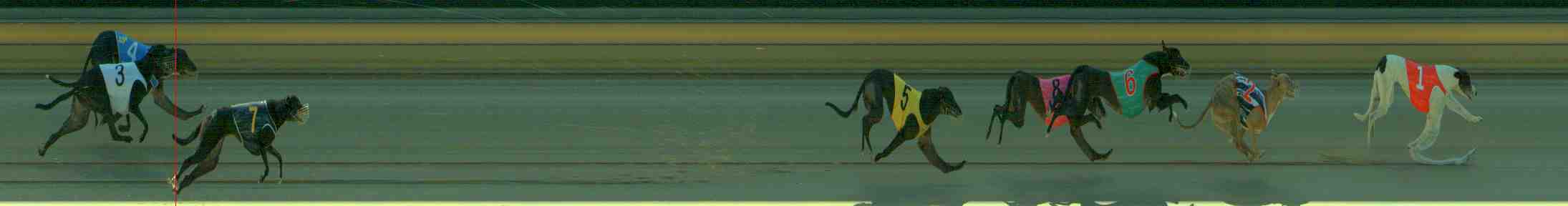 Photo finish for Sale Race 4
