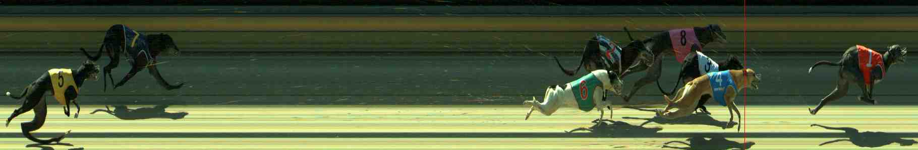 Photo finish for Sale Race 5