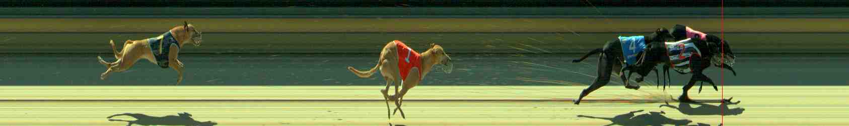 Photo finish for Sale Race 6