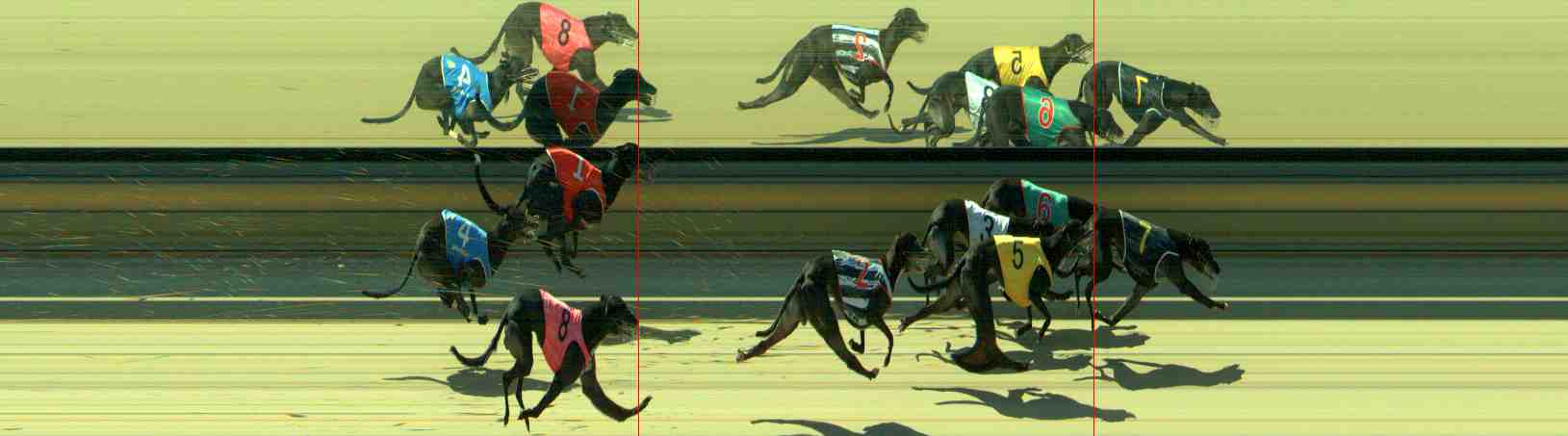 Photo finish for Sale Race 7