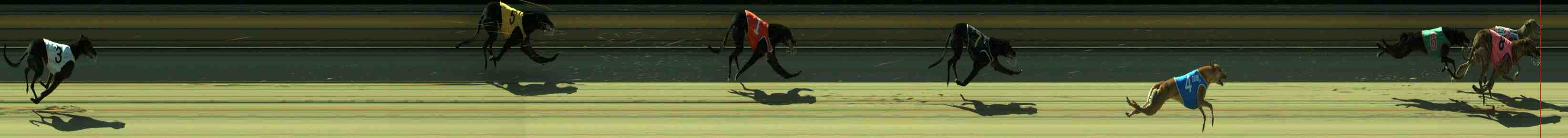Photo finish for Sale Race 9