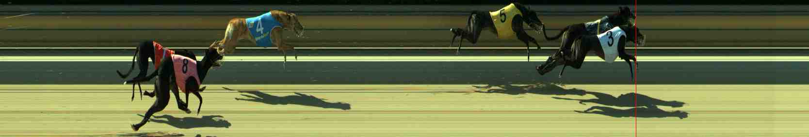 Photo finish for Sale Race 11
