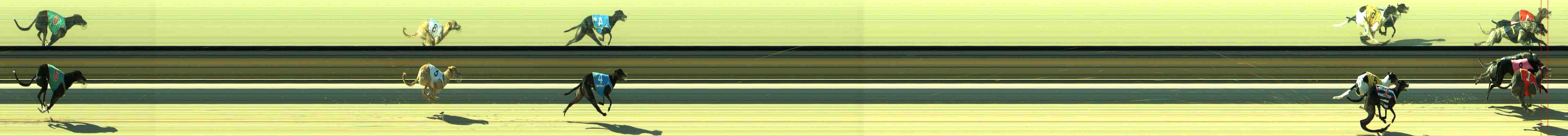 Photo finish for Sale Race 12