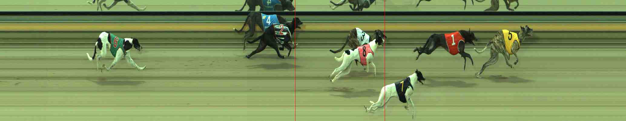 Photo finish for Sale Race 1