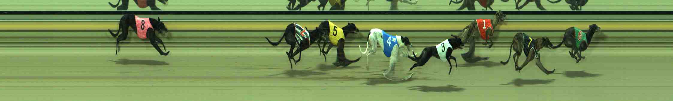 Photo finish for Sale Race 2
