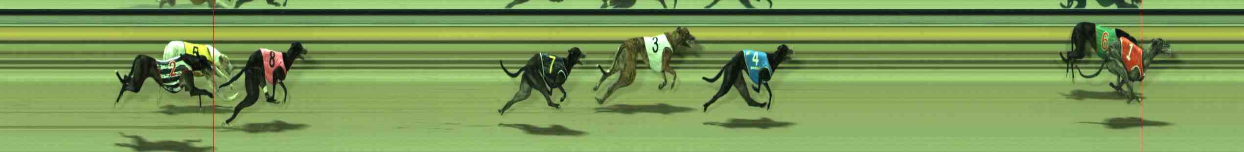 Photo finish for Sale Race 3